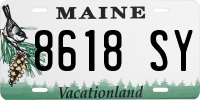 ME license plate 8618SY