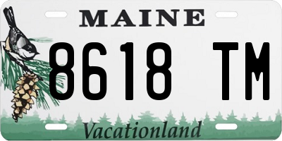 ME license plate 8618TM