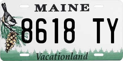 ME license plate 8618TY
