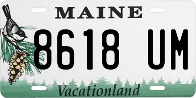 ME license plate 8618UM