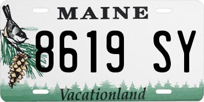 ME license plate 8619SY
