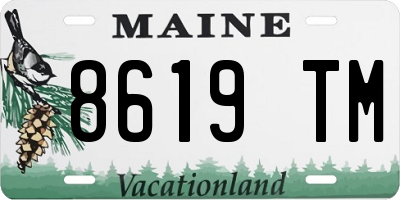 ME license plate 8619TM