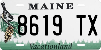 ME license plate 8619TX