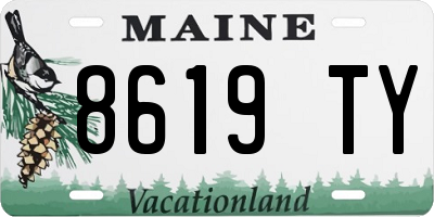 ME license plate 8619TY