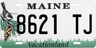 ME license plate 8621TJ