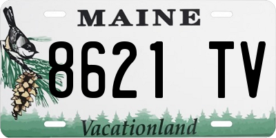 ME license plate 8621TV