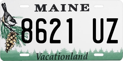 ME license plate 8621UZ