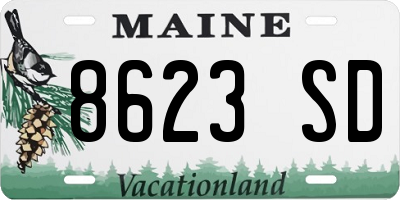 ME license plate 8623SD
