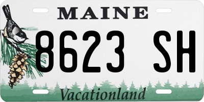 ME license plate 8623SH