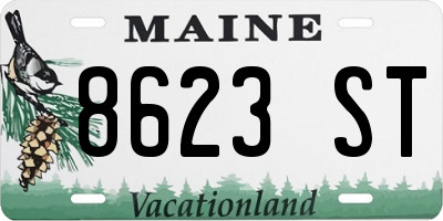 ME license plate 8623ST