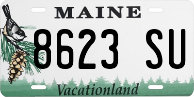 ME license plate 8623SU