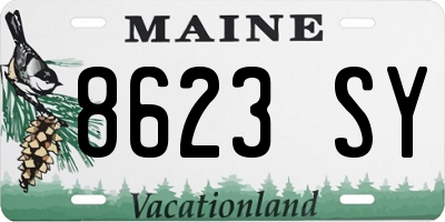 ME license plate 8623SY