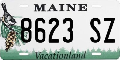 ME license plate 8623SZ