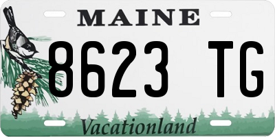 ME license plate 8623TG