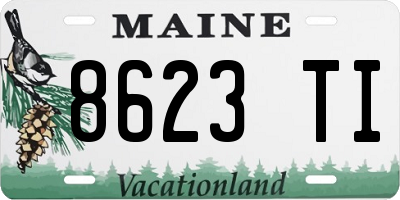 ME license plate 8623TI