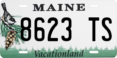 ME license plate 8623TS