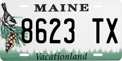 ME license plate 8623TX