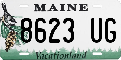 ME license plate 8623UG