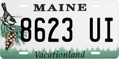 ME license plate 8623UI