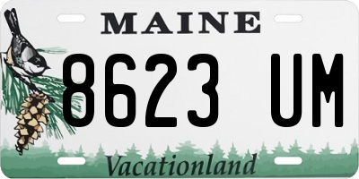 ME license plate 8623UM