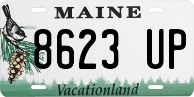ME license plate 8623UP