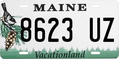 ME license plate 8623UZ