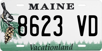 ME license plate 8623VD