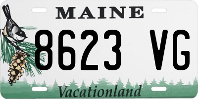 ME license plate 8623VG