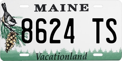 ME license plate 8624TS
