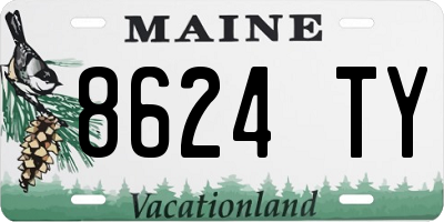 ME license plate 8624TY