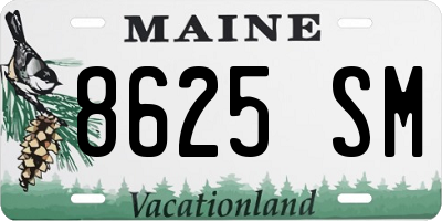 ME license plate 8625SM
