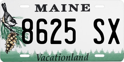ME license plate 8625SX