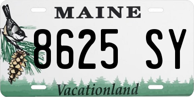 ME license plate 8625SY