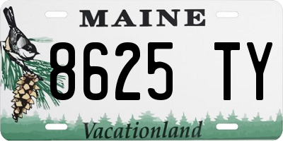 ME license plate 8625TY