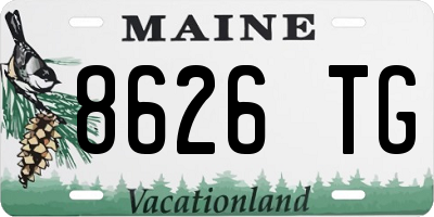 ME license plate 8626TG