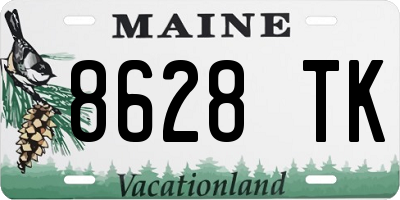 ME license plate 8628TK