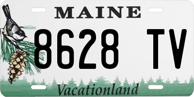 ME license plate 8628TV