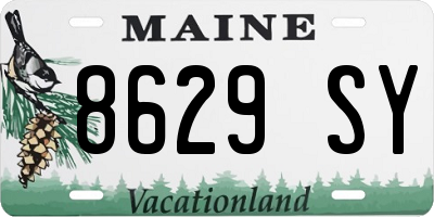 ME license plate 8629SY