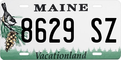 ME license plate 8629SZ