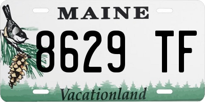 ME license plate 8629TF