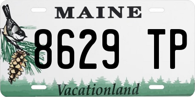 ME license plate 8629TP
