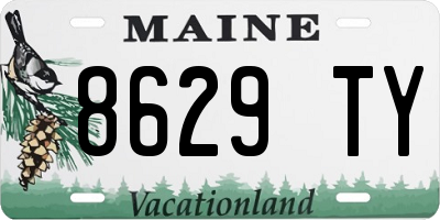 ME license plate 8629TY