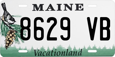 ME license plate 8629VB