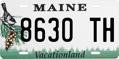 ME license plate 8630TH