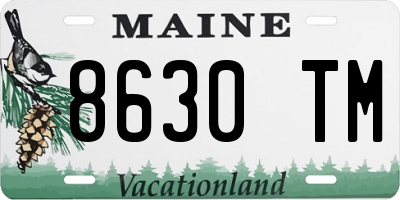 ME license plate 8630TM