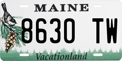 ME license plate 8630TW