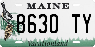ME license plate 8630TY