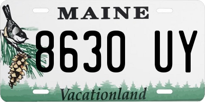 ME license plate 8630UY