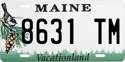 ME license plate 8631TM