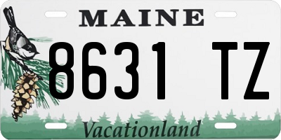 ME license plate 8631TZ